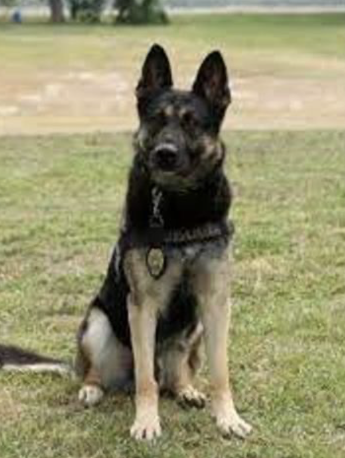 Loyal 2 One — K9 partner