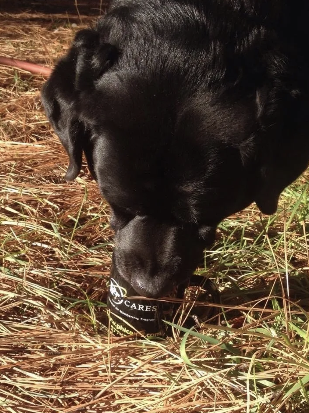 Toaka — Frontline Medical K9